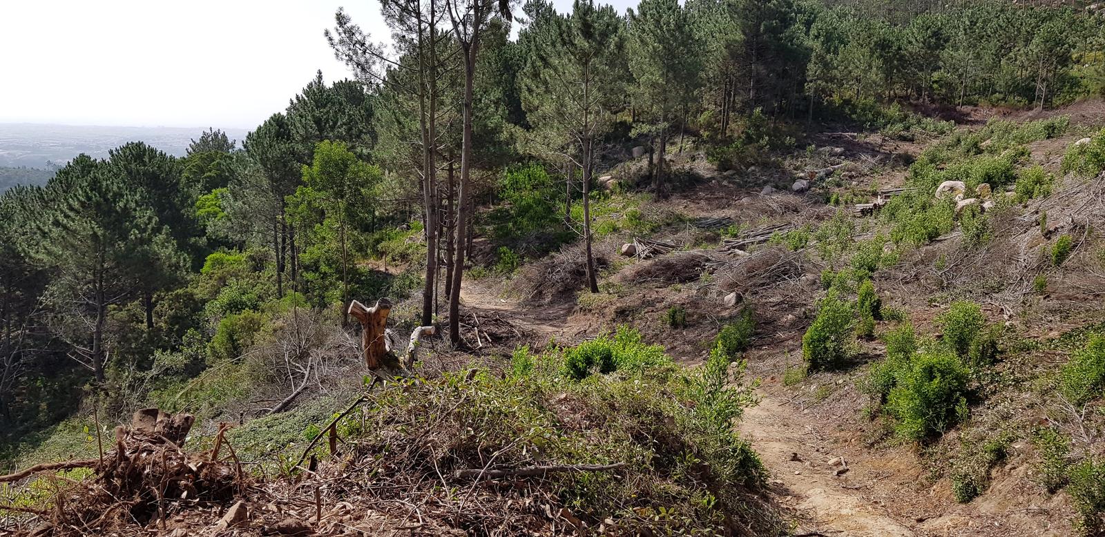 Pedra Amarela Viewpoint